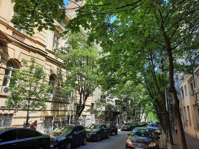 Apartment 51 - Bright, Spacious, Lux 1 Bedroom In The City Center - Stari Grad بلغراد المظهر الخارجي الصورة