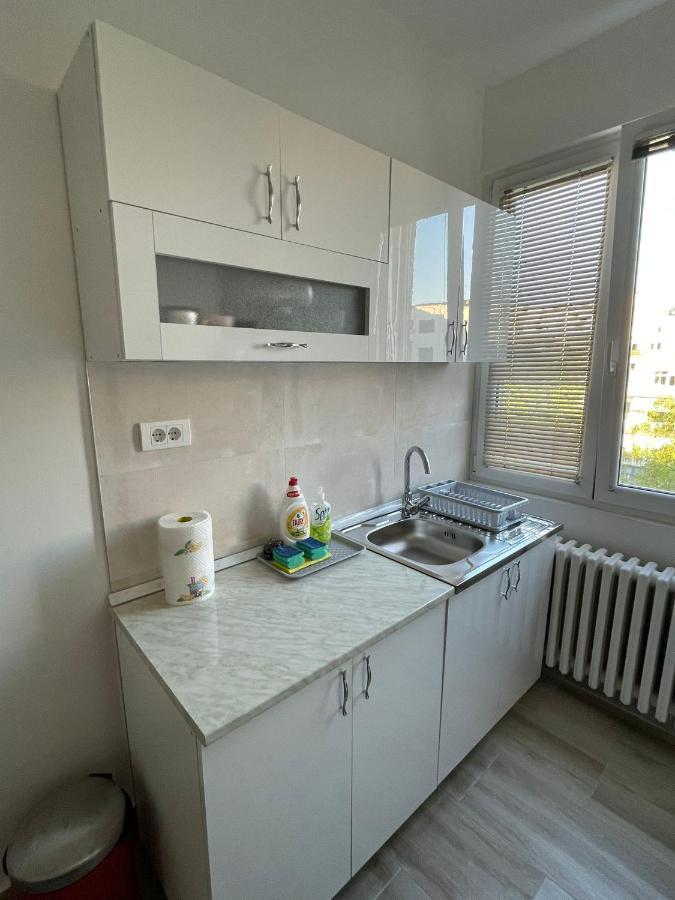 Apartment 51 - Bright, Spacious, Lux 1 Bedroom In The City Center - Stari Grad بلغراد المظهر الخارجي الصورة